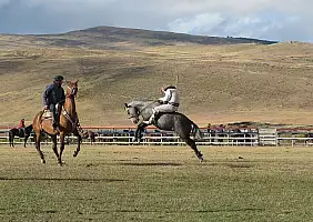 turistipercaso patagonia-n1y3u