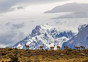 turistipercaso patagonia-r7t1d