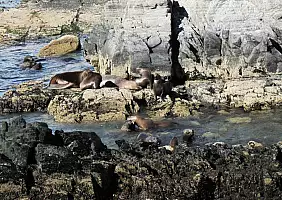 turistipercaso patagonia-rvgmy