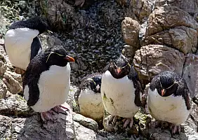 turistipercaso patagonia-sb2m5