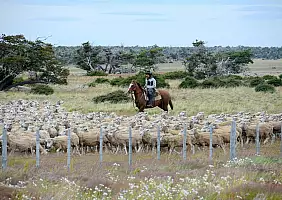 turistipercaso patagonia-sdb7k
