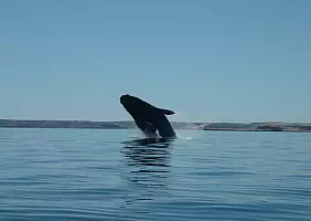 turistipercaso patagonia-t2ph2