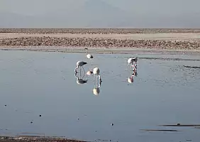 turistipercaso patagonia-t7auz