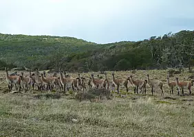 turistipercaso patagonia-zdztw