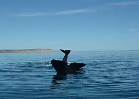 turistipercaso patagonia-zgge6