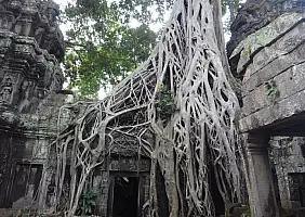 turistipercaso perhentian-k4jca