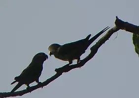 turistipercaso peru-agurp