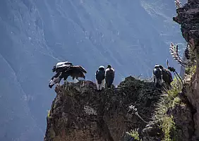 turistipercaso peru-qzj9y