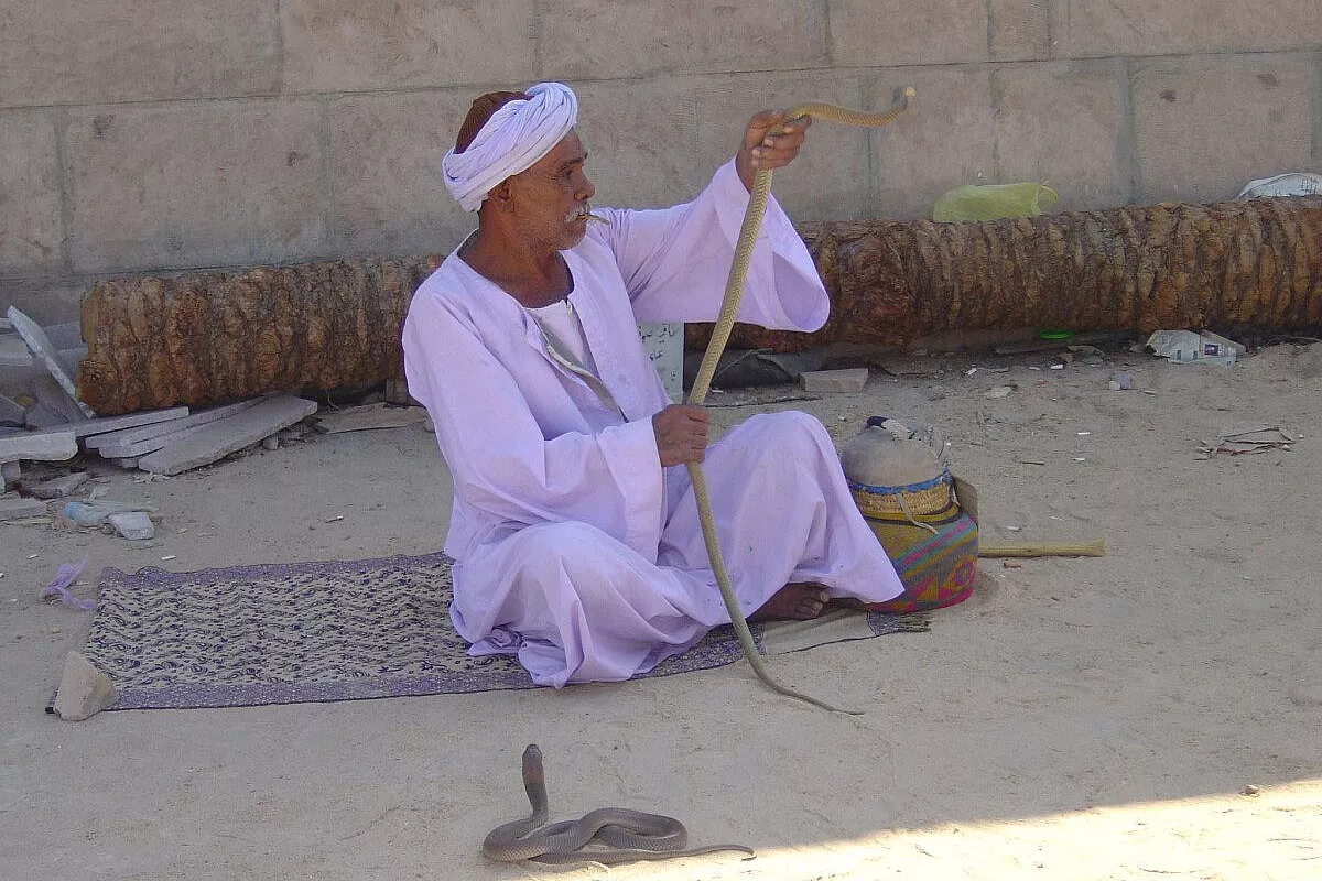 Bir shalatin, lontano dai luoghi comuni