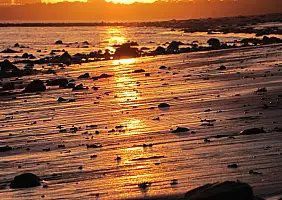 turistipercaso phillip-island-wgg2t