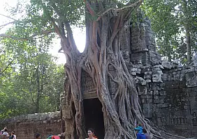 turistipercaso phuket-skr41