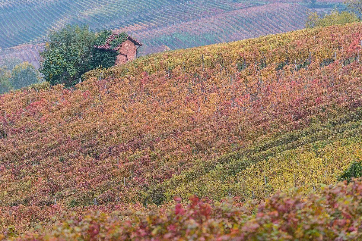 Cartoline d'autunno