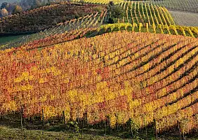 turistipercaso piemonte-pw6xe