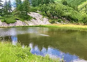 turistipercaso piemonte-u3g1k
