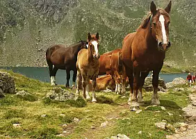 turistipercaso pirenei-vv3kj