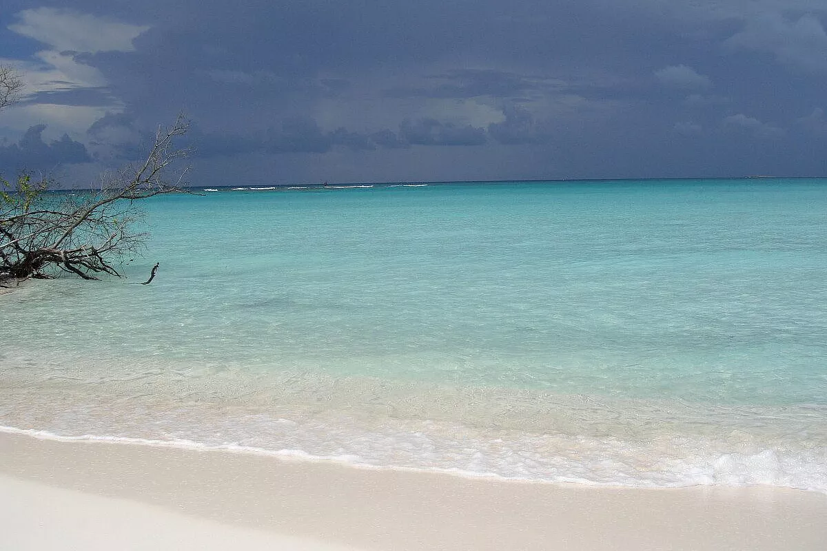 Cayo Largo, una sorpresa