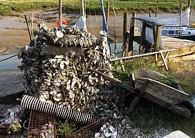 turistipercaso poitou-charentes-zzcqq