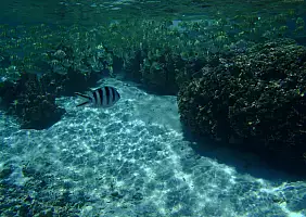 turistipercaso polinesia-cphaw