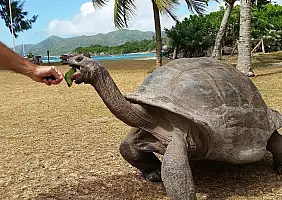 turistipercaso praslin-638a2