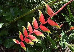 turistipercaso praslin-ajx85