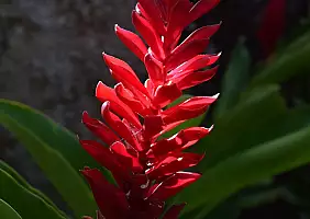 turistipercaso praslin-kq3cx
