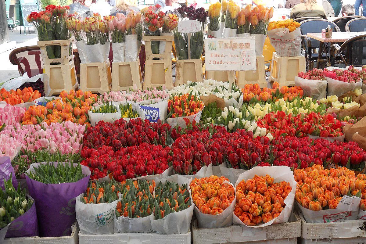 Haschmarkt