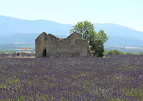 turistipercaso provenza-3wf1b