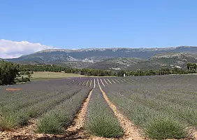 turistipercaso provenza-6w8xz