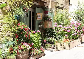 turistipercaso provenza-75xtu
