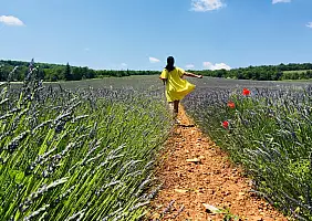 turistipercaso provenza-f4fdk