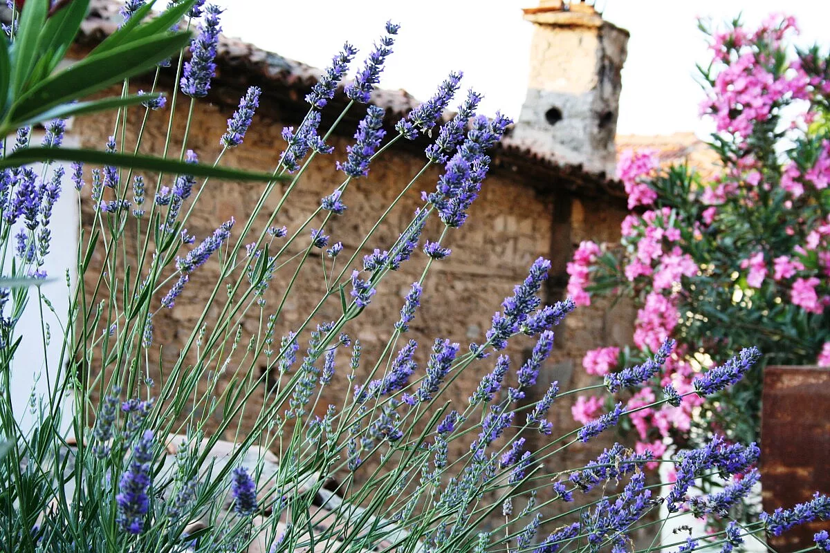 La Provenza in primavera