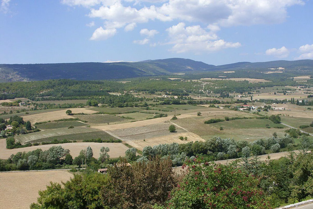 Paesaggio Provenzale da Sault