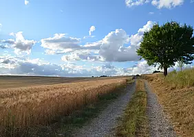 turistipercaso provenza-tgau8