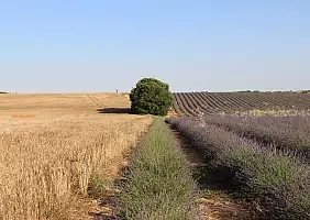 turistipercaso provenza-vgje3