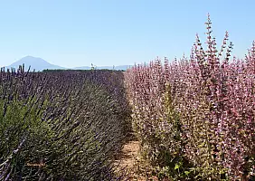 turistipercaso provenza-xz7fx