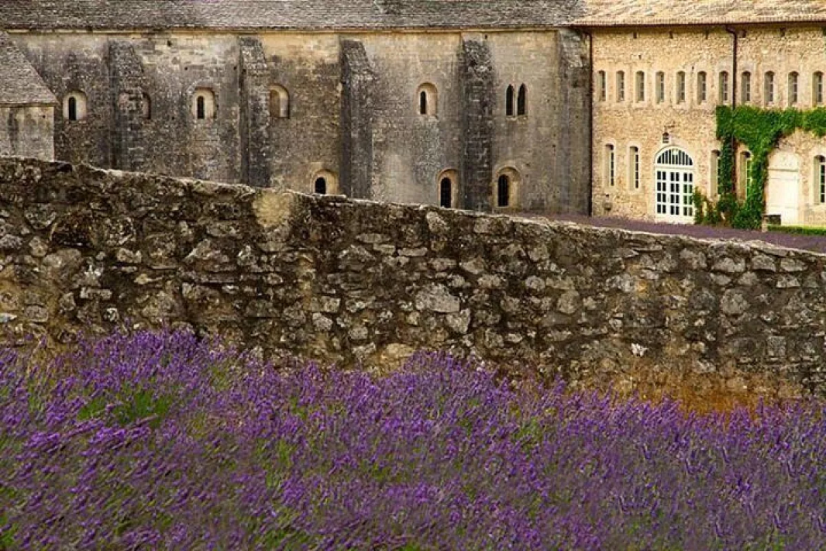notre dame de senanque