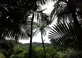 turistipercaso puerto-rico-82qa7