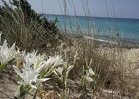 turistipercaso puglia-ccfdh
