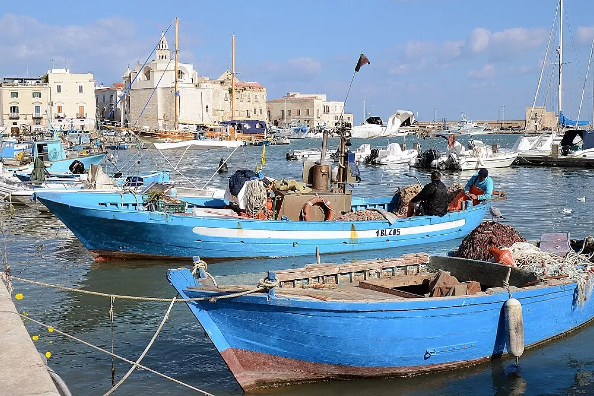 La provincia BAT, mare, spiagge, arte e divertimento serale