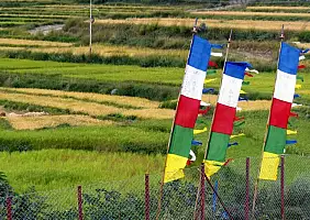 turistipercaso punakha-6uxsf