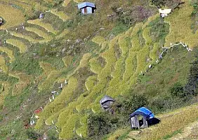 turistipercaso punakha-edy19