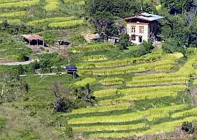 turistipercaso punakha-pxdfb