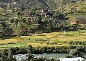 turistipercaso punakha-s9vaf