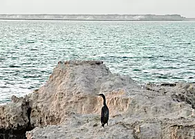 turistipercaso qatar-mn1n4
