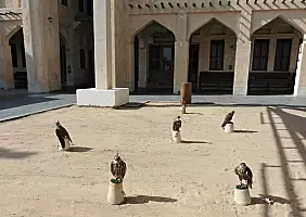 turistipercaso qatar-yu2ue