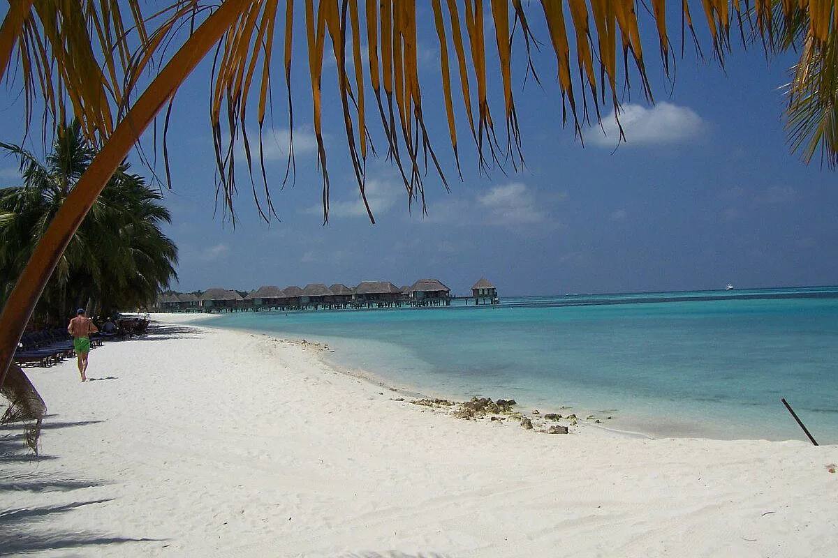 Meraviglia maldiviana..