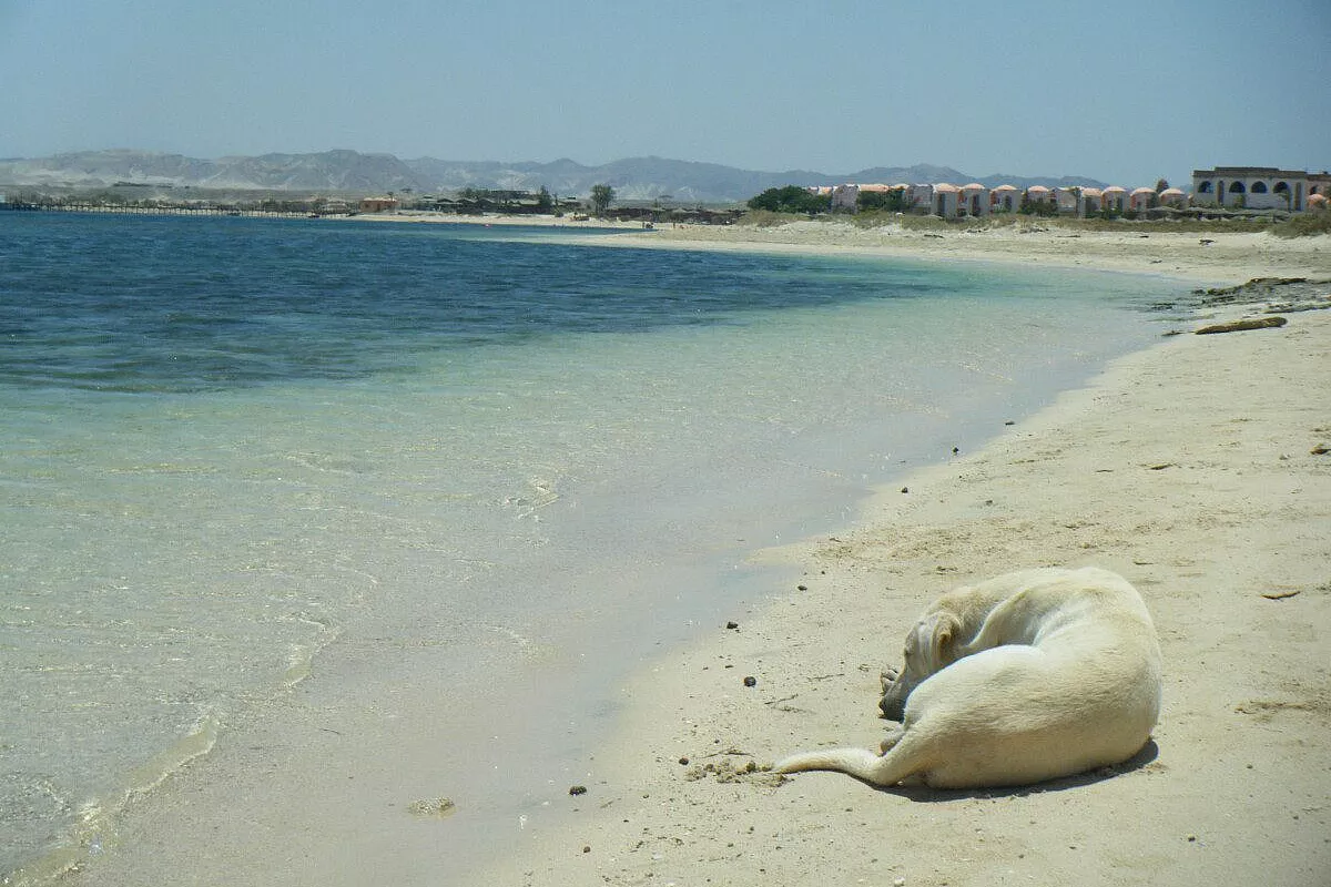 Sharm el Sheihk