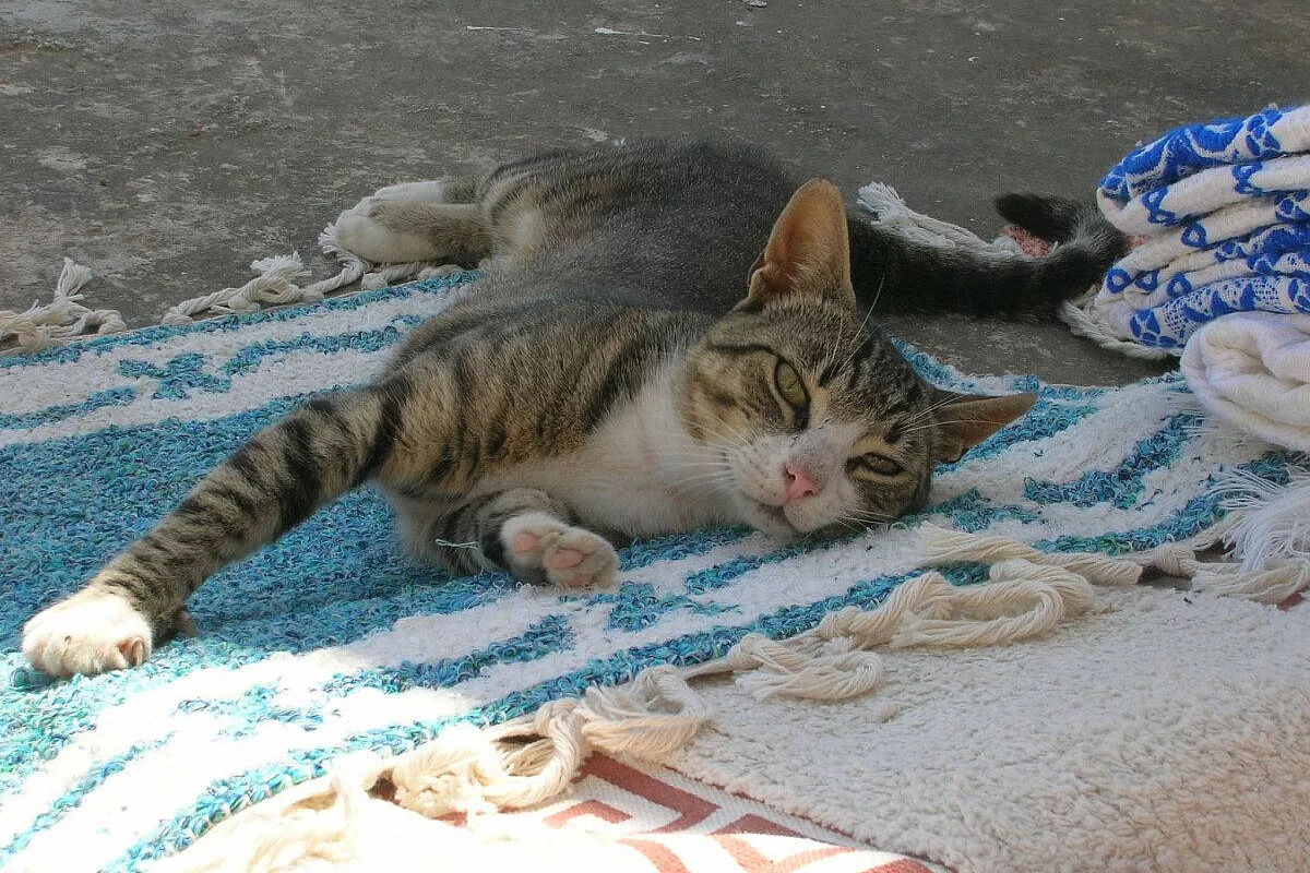 Corfù, Paxos: due perle nello Ionio