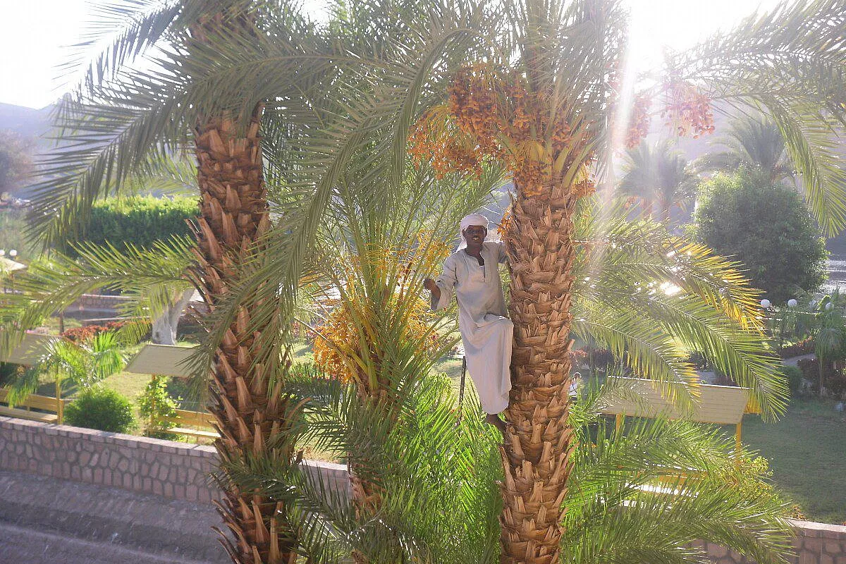 Un Capodanno a Marsa Alam