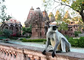 turistipercaso rajasthan-5xrht